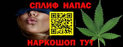 гидропоника Берёзовский