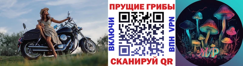 Псилоцибиновые грибы GOLDEN TEACHER  купить наркотик  Бузулук 