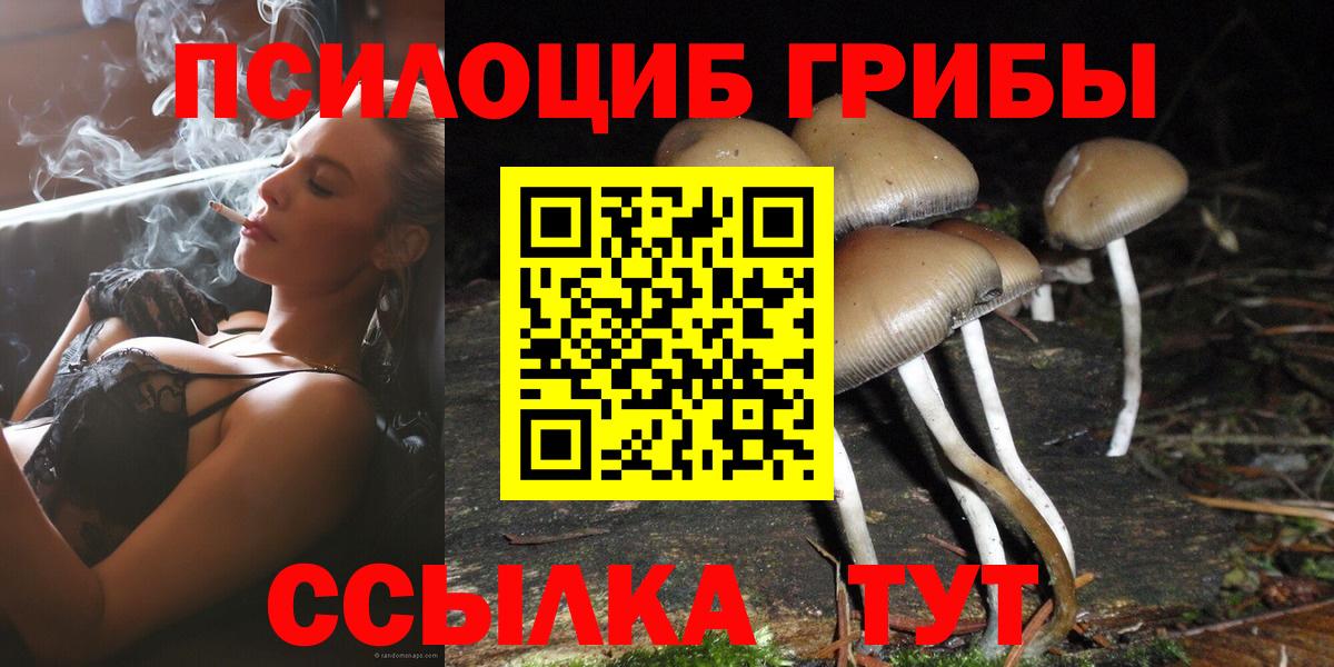 Бузулук  Псилоцибиновые грибы Psilocybe  Вход с VPN 